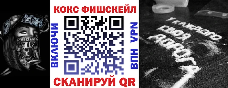 Купить  Буй  Cocaine Fish Scale 
